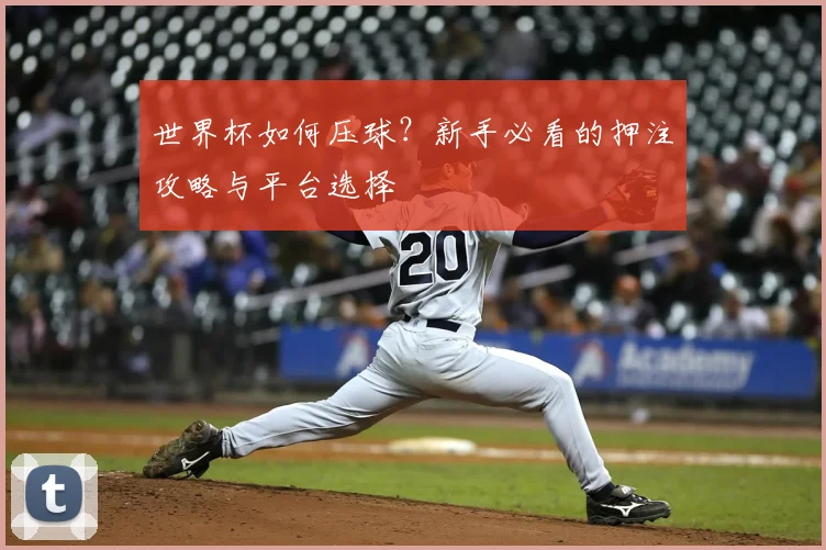 世界杯如何压球？新手必看的押注攻略与平台选择
