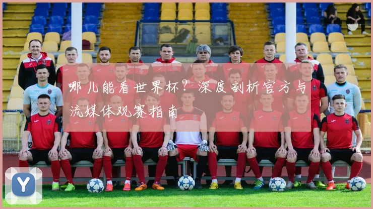 哪儿能看世界杯？深度剖析官方与流媒体观赛指南