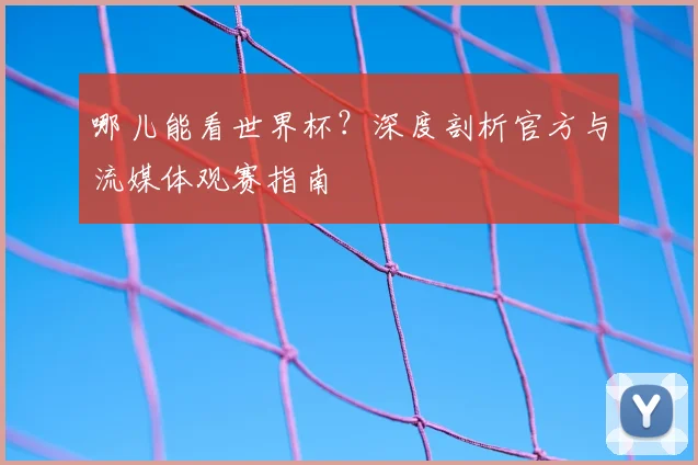 哪儿能看世界杯？深度剖析官方与流媒体观赛指南