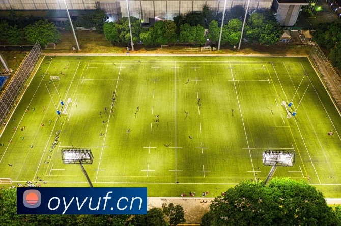 leyu乐鱼官方平台生态图