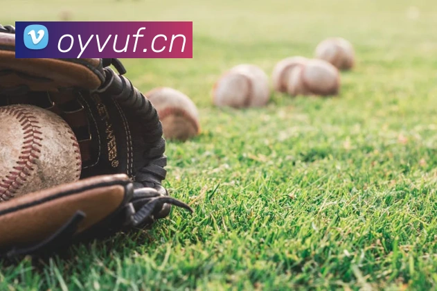 leyu乐鱼官方APP 封面图